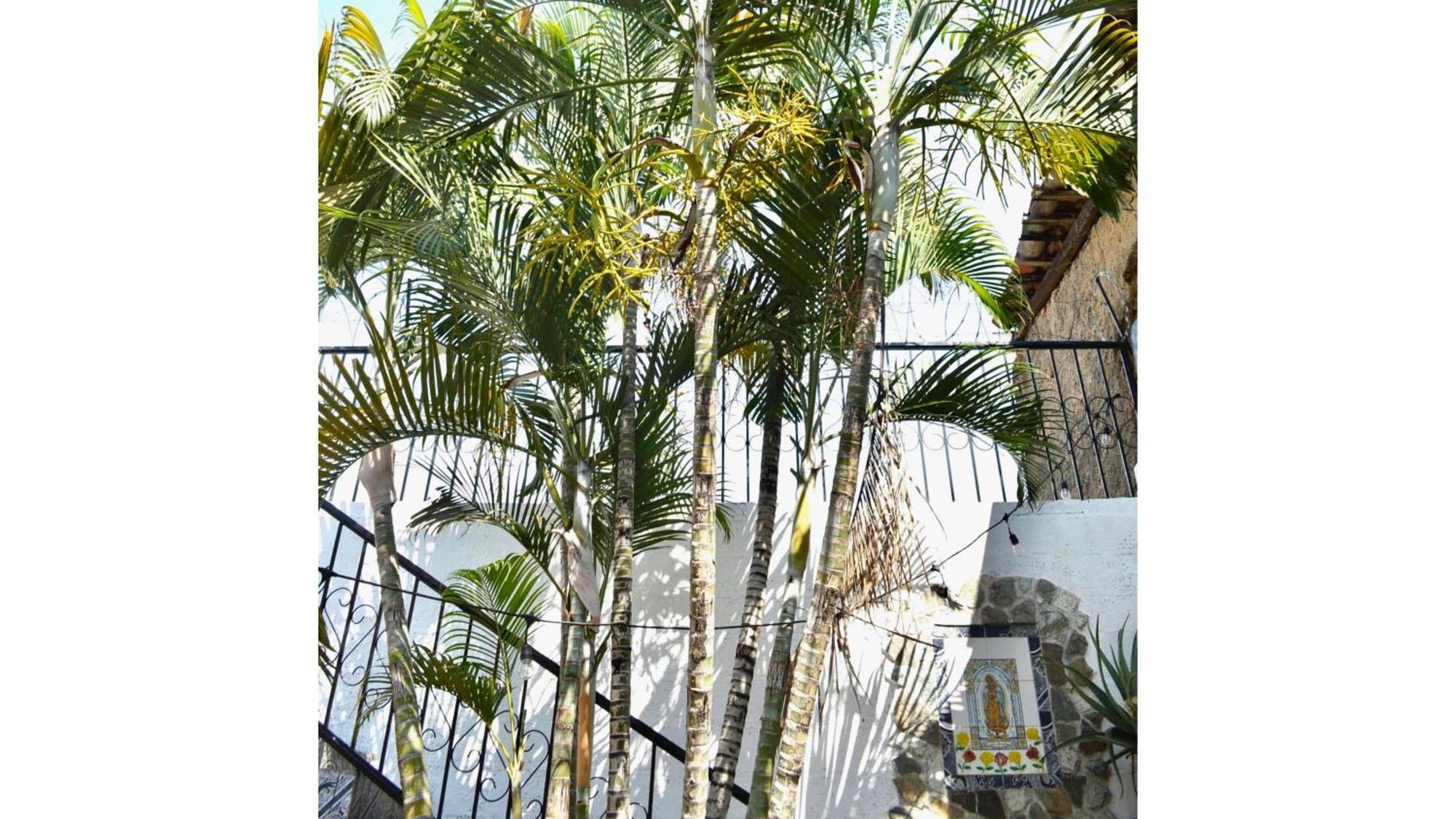 Casa Coco Hostel Santa Ana Exterior photo