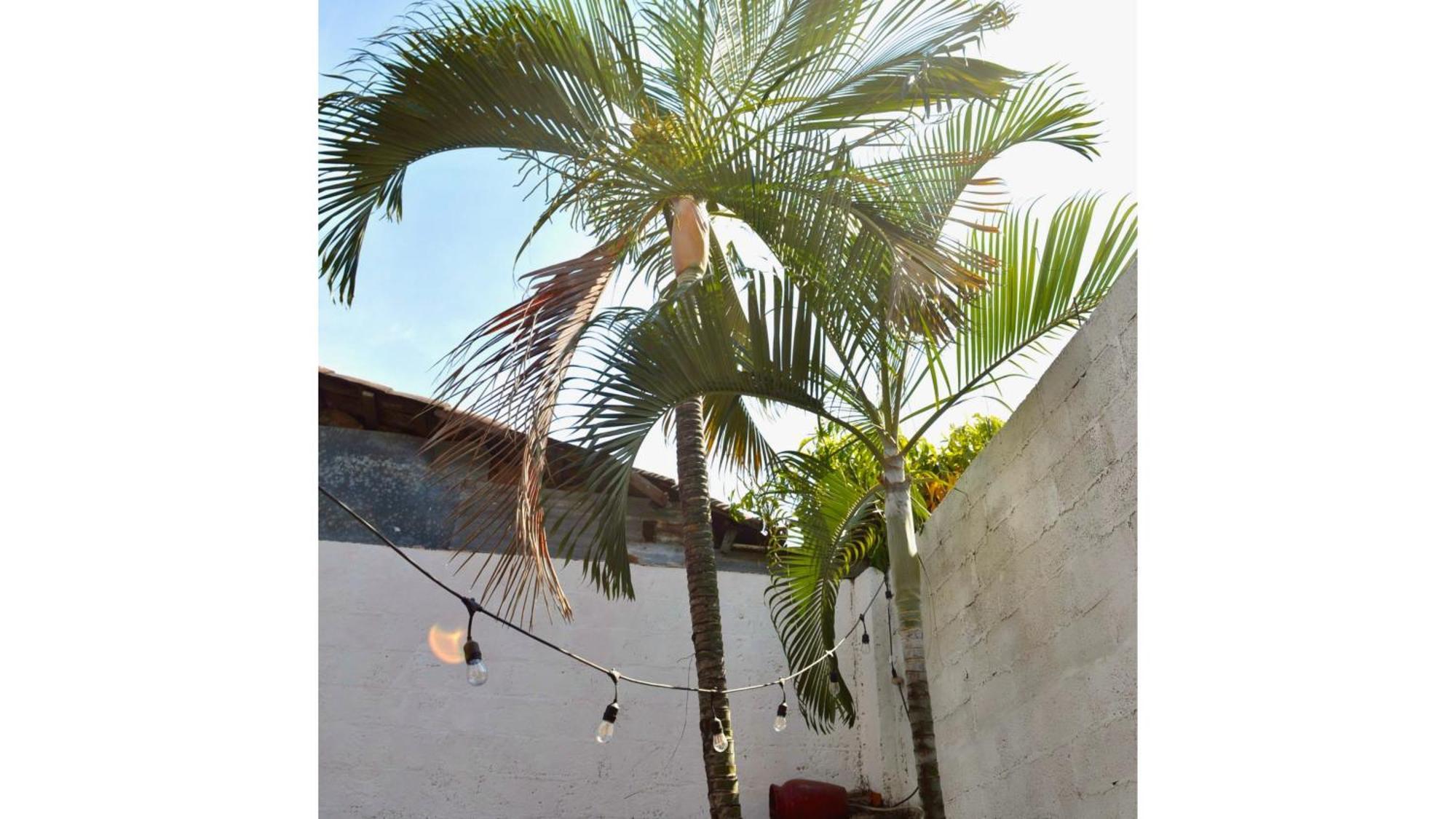 Casa Coco Hostel Santa Ana Exterior photo